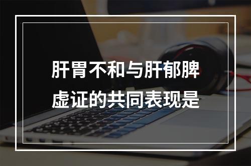 肝胃不和与肝郁脾虚证的共同表现是