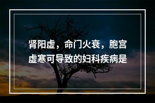 肾阳虚，命门火衰，胞宫虚寒可导致的妇科疾病是