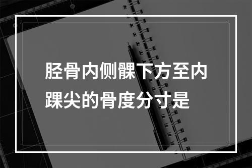 胫骨内侧髁下方至内踝尖的骨度分寸是