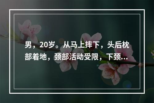 男，20岁。从马上摔下，头后枕部着地，颈部活动受限，下颈椎压