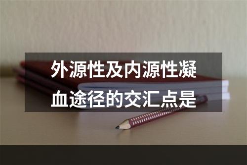 外源性及内源性凝血途径的交汇点是