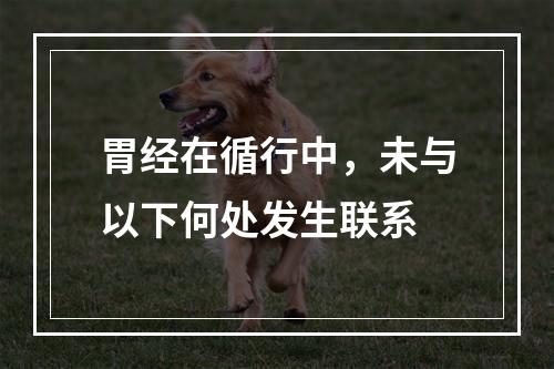 胃经在循行中，未与以下何处发生联系