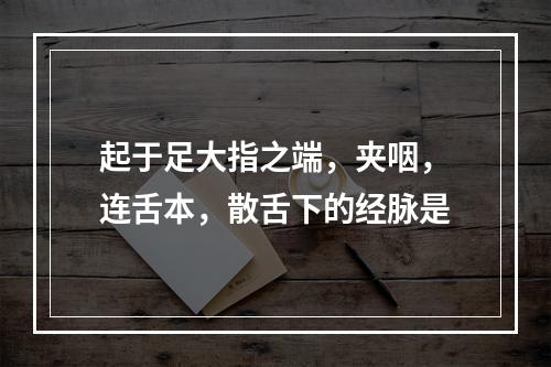 起于足大指之端，夹咽，连舌本，散舌下的经脉是