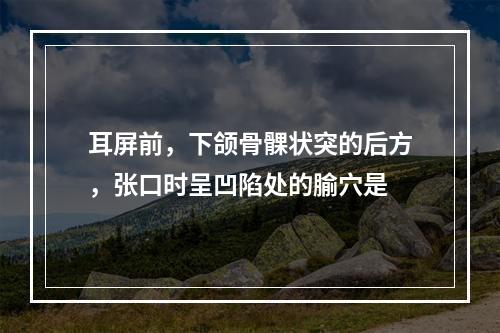 耳屏前，下颌骨髁状突的后方，张口时呈凹陷处的腧穴是