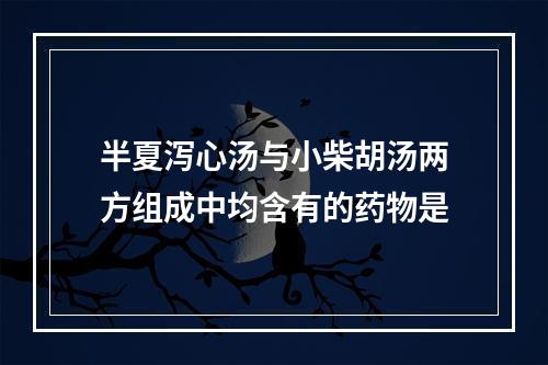 半夏泻心汤与小柴胡汤两方组成中均含有的药物是