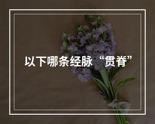 以下哪条经脉“贯脊”