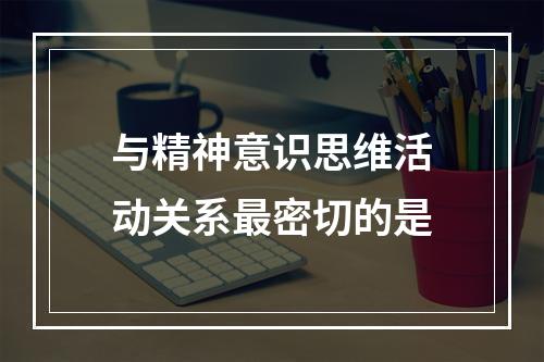 与精神意识思维活动关系最密切的是