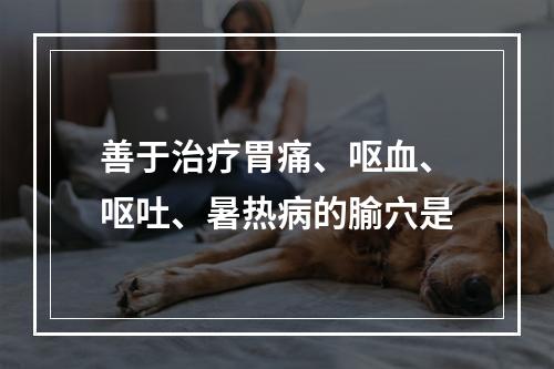 善于治疗胃痛、呕血、呕吐、暑热病的腧穴是