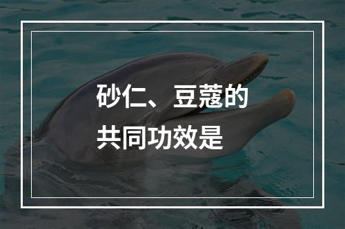 砂仁、豆蔻的共同功效是