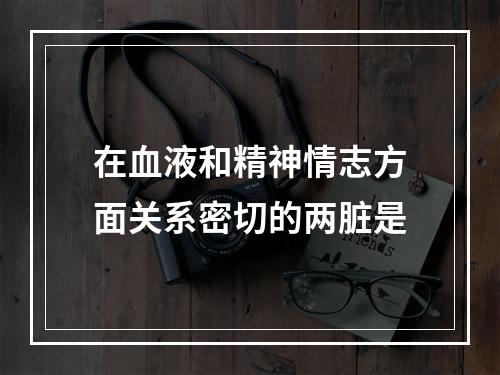 在血液和精神情志方面关系密切的两脏是