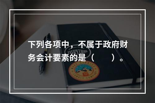 下列各项中，不属于政府财务会计要素的是（　　）。