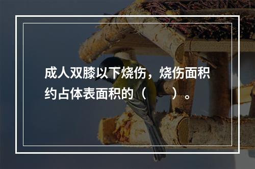 成人双膝以下烧伤，烧伤面积约占体表面积的（　　）。