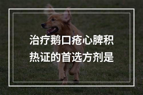 治疗鹅口疮心脾积热证的首选方剂是