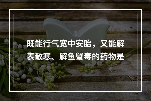 既能行气宽中安胎，又能解表散寒、解鱼蟹毒的药物是