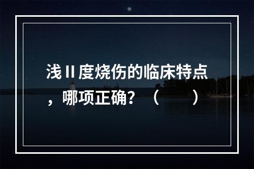 浅Ⅱ度烧伤的临床特点，哪项正确？（　　）