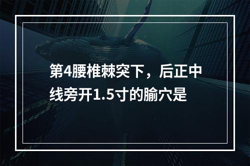 第4腰椎棘突下，后正中线旁开1.5寸的腧穴是