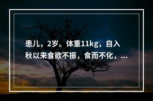 患儿，2岁。体重11kg，自入秋以来食欲不振，食而不化，面色