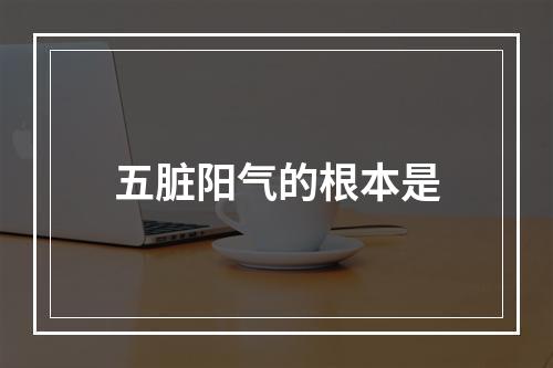 五脏阳气的根本是