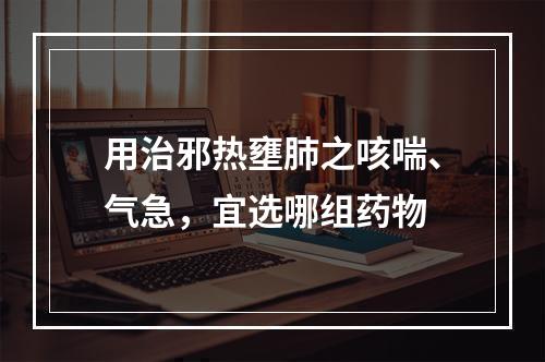 用治邪热壅肺之咳喘、气急，宜选哪组药物