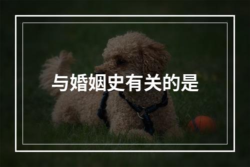 与婚姻史有关的是