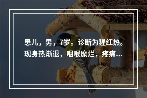 患儿，男，7岁。诊断为猩红热。现身热渐退，咽喉糜烂，疼痛减轻