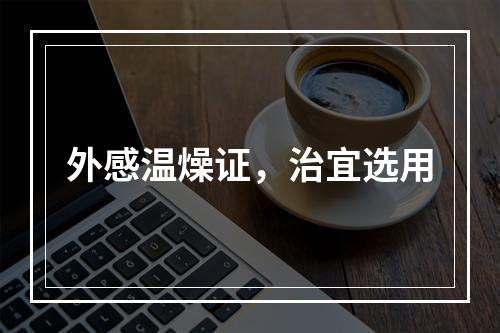 外感温燥证，治宜选用