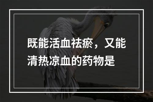 既能活血祛瘀，又能清热凉血的药物是