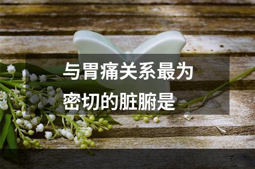 与胃痛关系最为密切的脏腑是