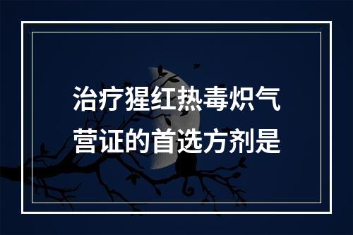 治疗猩红热毒炽气营证的首选方剂是