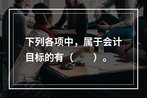 下列各项中，属于会计目标的有（　　）。