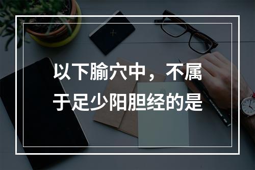 以下腧穴中，不属于足少阳胆经的是