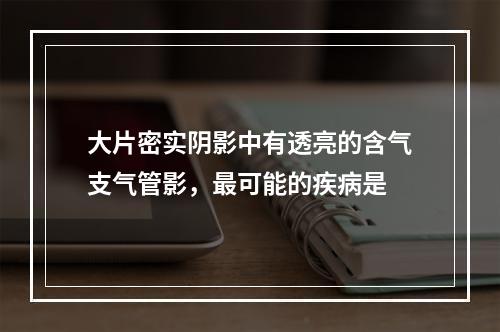 大片密实阴影中有透亮的含气支气管影，最可能的疾病是