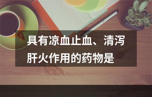 具有凉血止血、清泻肝火作用的药物是