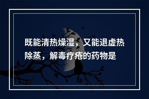 既能清热燥湿，又能退虚热除蒸，解毒疗疮的药物是