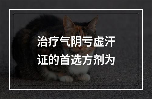 治疗气阴亏虚汗证的首选方剂为