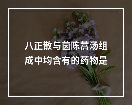 八正散与茵陈蒿汤组成中均含有的药物是