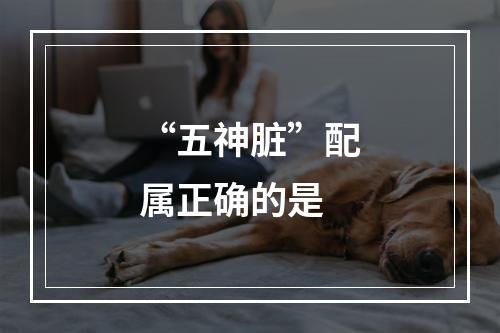 “五神脏”配属正确的是