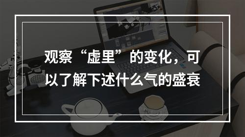 观察“虚里”的变化，可以了解下述什么气的盛衰