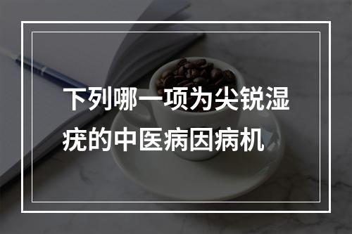 下列哪一项为尖锐湿疣的中医病因病机