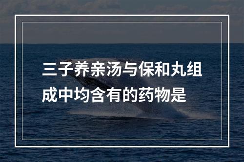 三子养亲汤与保和丸组成中均含有的药物是