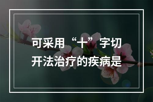 可采用“十”字切开法治疗的疾病是