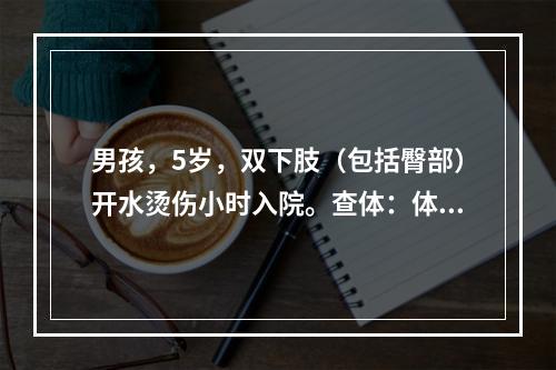 男孩，5岁，双下肢（包括臀部）开水烫伤小时入院。查体：体温：