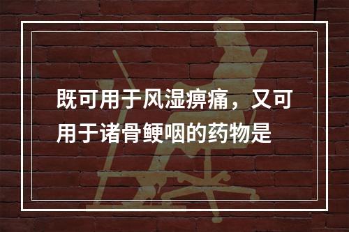 既可用于风湿痹痛，又可用于诸骨鲠咽的药物是