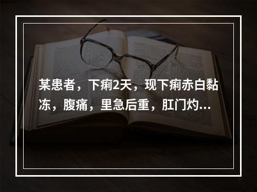 某患者，下痢2天，现下痢赤白黏冻，腹痛，里急后重，肛门灼热，