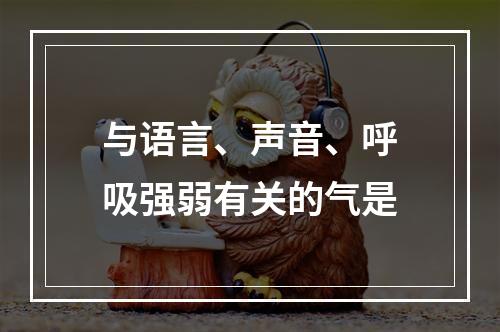 与语言、声音、呼吸强弱有关的气是