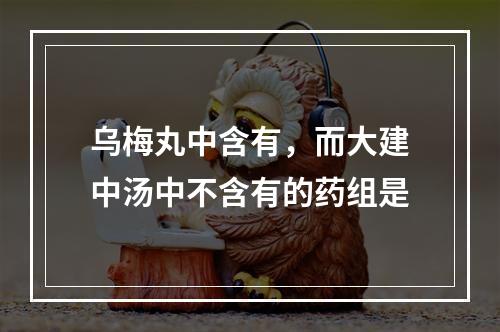 乌梅丸中含有，而大建中汤中不含有的药组是