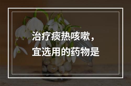 治疗痰热咳嗽，宜选用的药物是