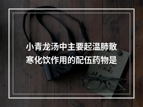 小青龙汤中主要起温肺散寒化饮作用的配伍药物是