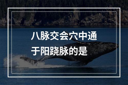 八脉交会穴中通于阳跷脉的是