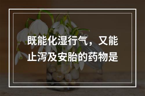 既能化湿行气，又能止泻及安胎的药物是